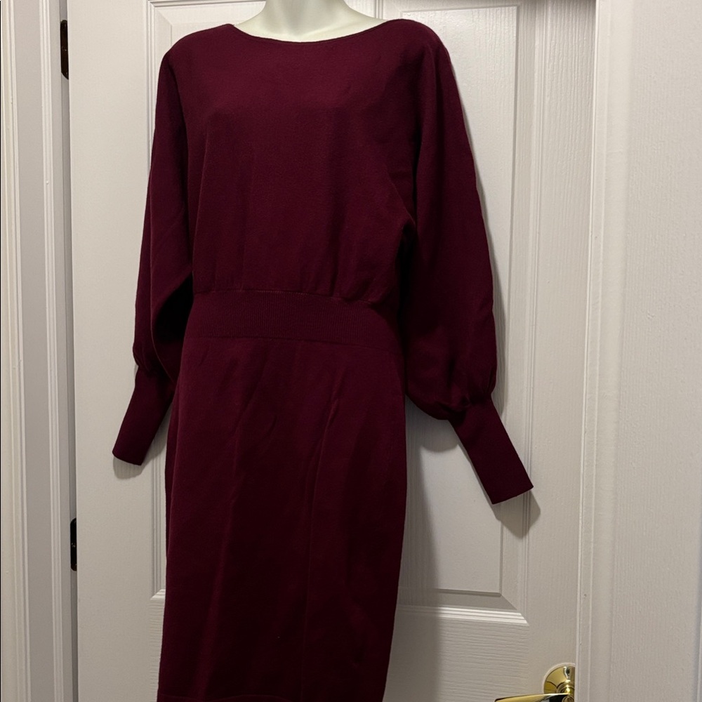 Chic Long Sleeve Wine Dress